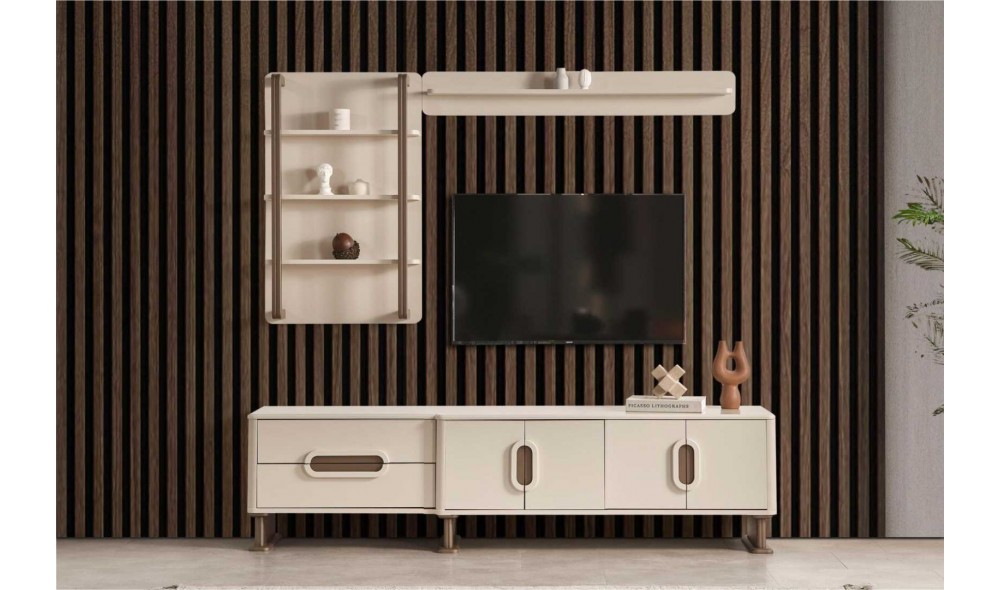 Rover Tv Ünitesi